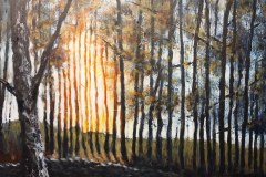 sunlight-in-the-forest-by-Richard-Trigg