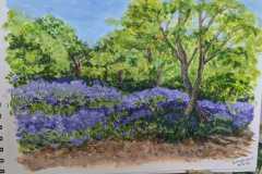 Angela-Smith-Bluebells