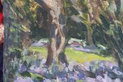 Bluebells