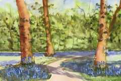 Nunn-Bluebells