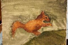 Olly-squirrel