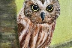 American-Owl-by-David-Chaplin