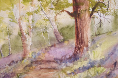 Bluebell-wood-by-Penny-Clay