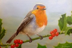 Robin-with-Holly-by-David-Chaplin