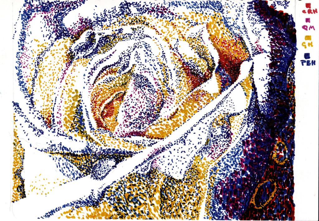 white rose peter hollis
