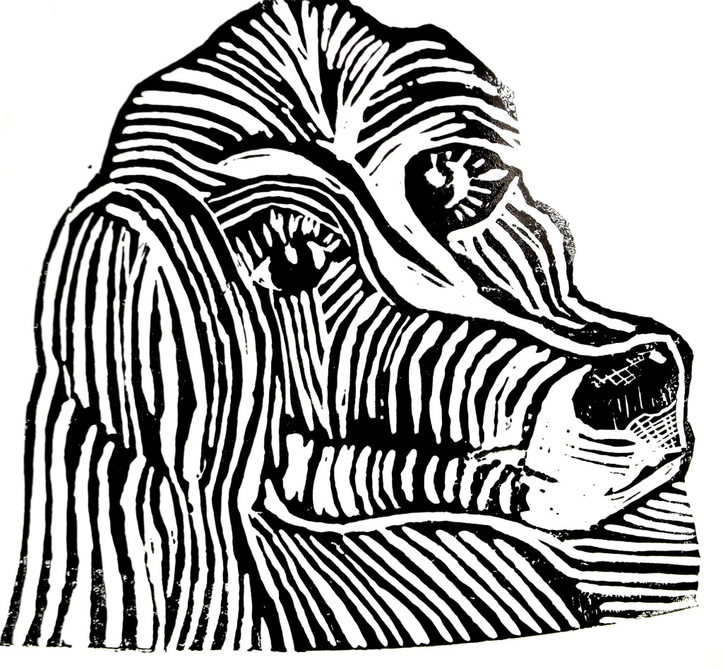 Lino cur scrappy dog Peter Hollis