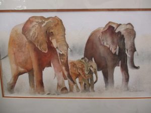 Sue Chatterton Elephants