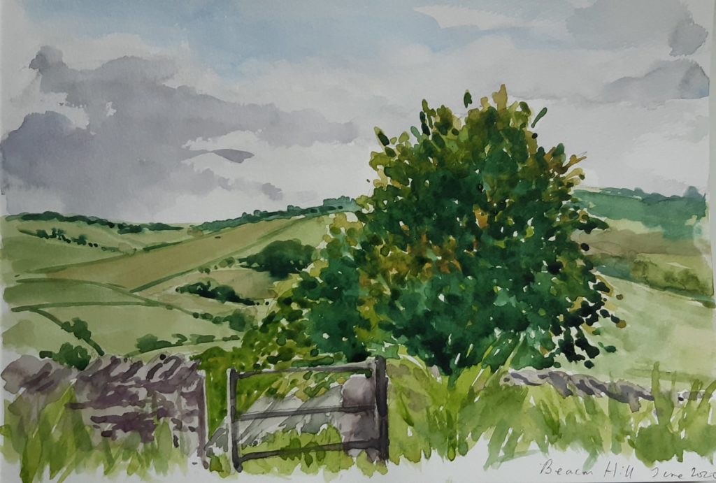 Water colour sketch of Beacon Hill by Marie MacAlister