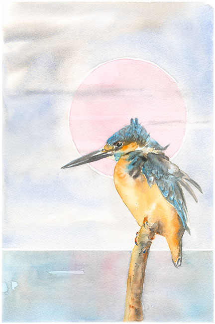 Kingfisher watercolour painting by David Burchett