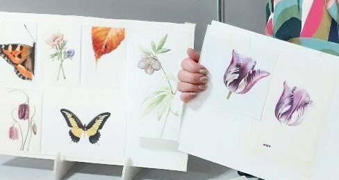 watercolour flowers